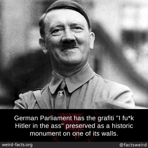 mindblowingfactz - German Parliament has the grafiti “I fu*k...