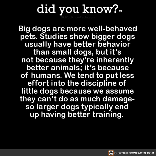 did-you-know - Big dogs are more well-behaved pets. Studies show...
