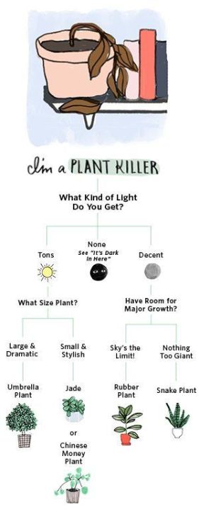 plantinghuman:Funny way to find out which plant you might like...