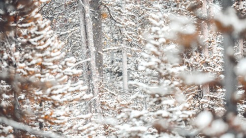 ponderation - Snowy Landscape by Jonathan Knepper
