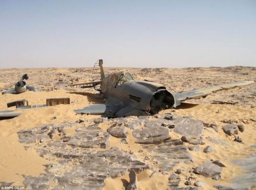 abandonedandurbex - Dennis Copping’s P40 E Kittyhawk, crashed...