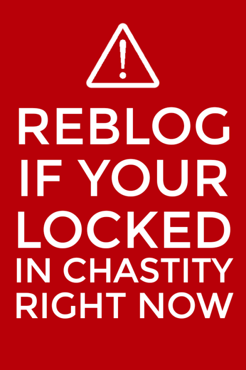 lockedhubbybywife - mistresshotworld - http - //chastity-femdom-tease...