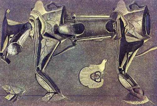 surrealism-love:A little sick horse’s leg, 1920, Max...