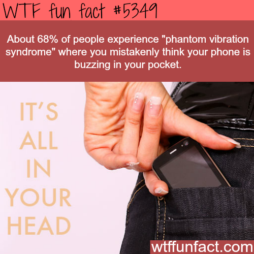 wtf-fun-factss - Phantom vibration syndrome - WTF fun...