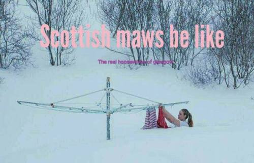 scotianostra - Scottish Maws