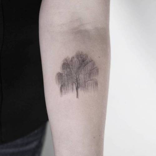 Tattoo tagged with: tree, small, single needle, tiny, ifttt, little,  nature, lindsayapril, inner forearm, weeping willow 