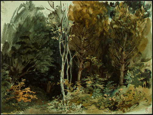 artist-delacroix:The Edge of a Wood at Nohant, Eugene...