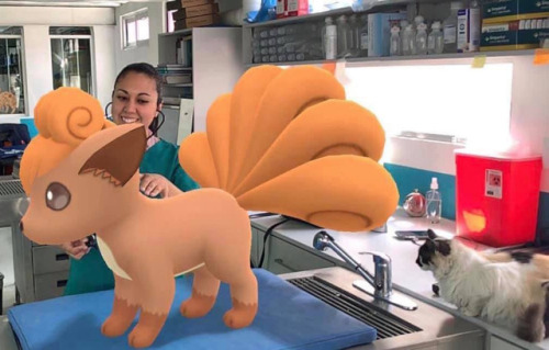 retrogamingblog:A veterinary hospital in Mexico used Pokemon...
