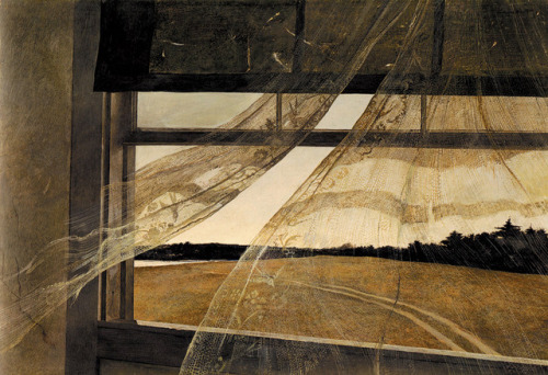 ex0skeletal:Quietly haunting works by Andrew Wyeth