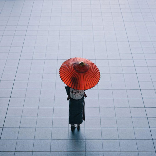 boredpanda - Japanese Photographer Documents The Beauty Of...