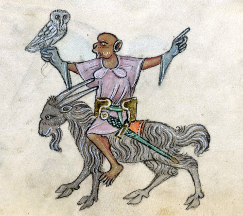 discardingimages:
âmonkey riding a goat with a hunting owl
Luttrell Psalter, England ca. 1325-1340
British Library, Add 42130, fol. 38r
â