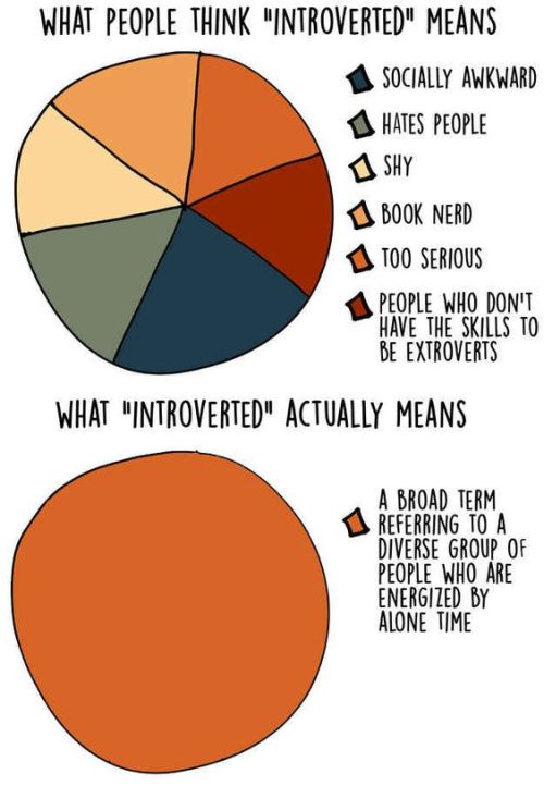 zergvsgenin - introvertproblems - JOIN THE INTROVERTNATION...
