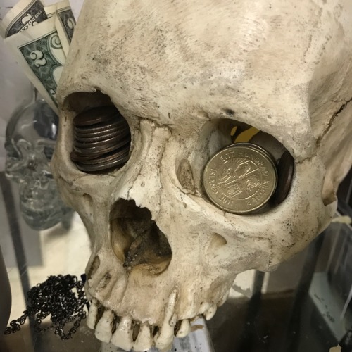 parliamentrook:the money skull, reblog for money and or skulls