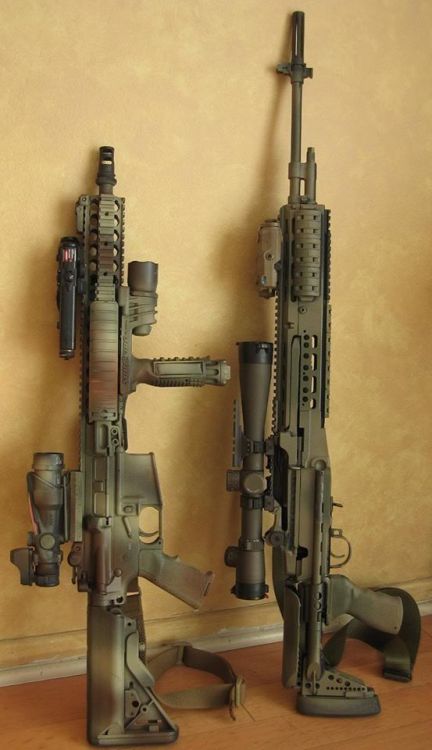weaponslover - Primary Weapon Choice. M4 & M14
