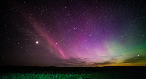 The Aurora Named STEVE - What’s in a name? If your name is...