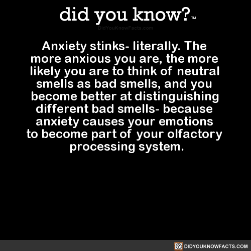 anxiety-stinks-literally-the-more-anxious-you