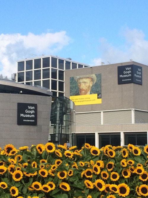 sabanasblancasuniverse - @V_MCMXCIX -  Van Gogh Museum, Amsterdam,...