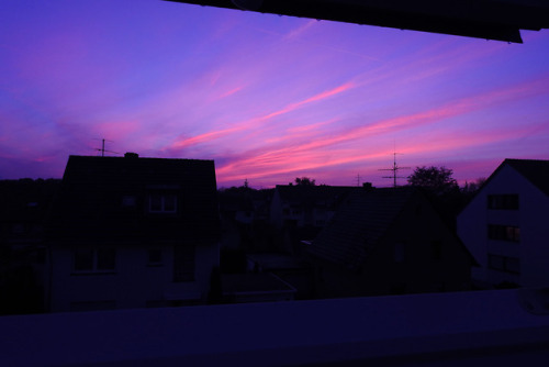 bugbreach - My camera turned the sky from red to purple and i’m so...