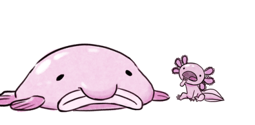 micaxiii:micaxiii:Squishy got a new friend.Their name is...