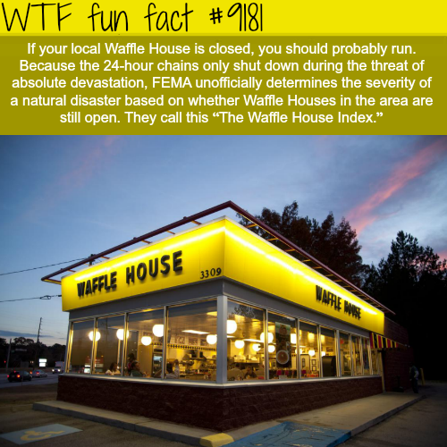 ssironstrange - wtf-fun-factss - The Waffle House Index - WTF Fun...