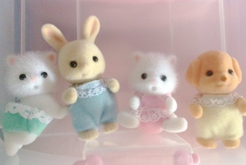 n1a:some of my baby calico critters ♡