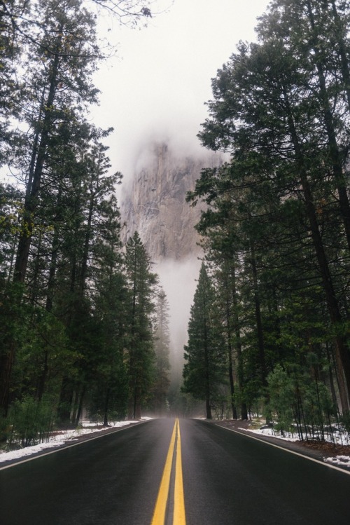 expressions-of-nature:Yosemite, California by Connor McSheffrey