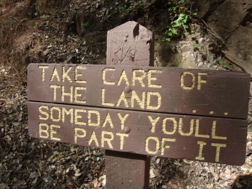 fungusqueen:“Take care of the land…someday you’ll be part of...