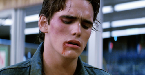 filmaticbby - The Outsiders (1983) dir. Francis Ford Coppola