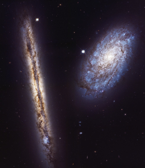 traverse-our-universe - Pictured here are spiral galaxies NGC...