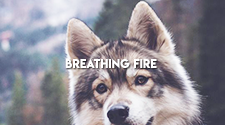 Breathing fire. | Michael J. Black Tumblr_papzjiCFht1qgdcyxo1_250