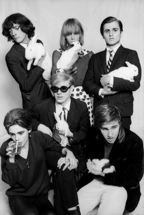 #Bunny Series Edie Sedgwick, Andy #Warhol, Catherine #Deneuve,...