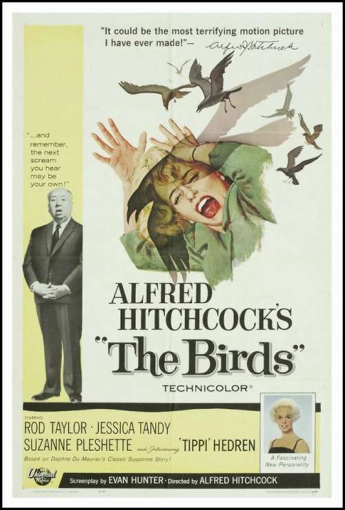 wonderful-strange - The Birds, 1963.