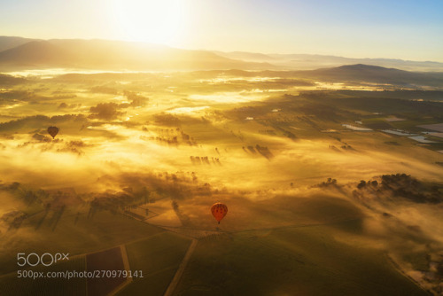 thebestinphotography - Golden morning