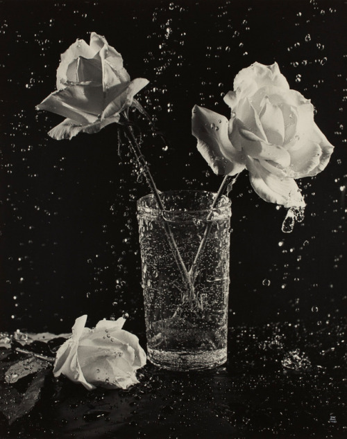 the-cinder-fields - Ilse Bing, Three Roses in Rain, 1950