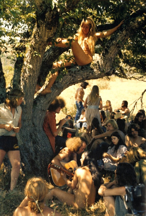 livefree-n-nude - psychedelicway - Wheeler’s Ranch, California -...