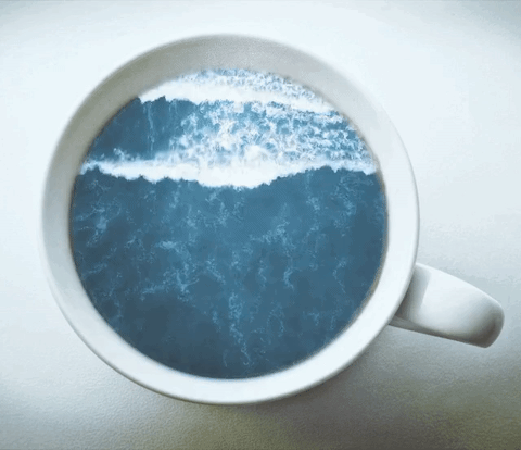 29b:cup of sea