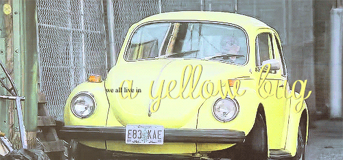 nealfire-archive - Swanfire Appreciation Week | Day 2  The Yellow...