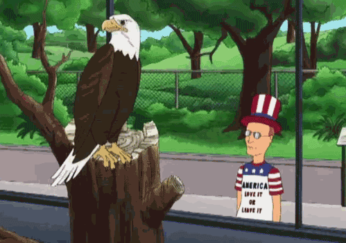 Image result for happy eagle gif