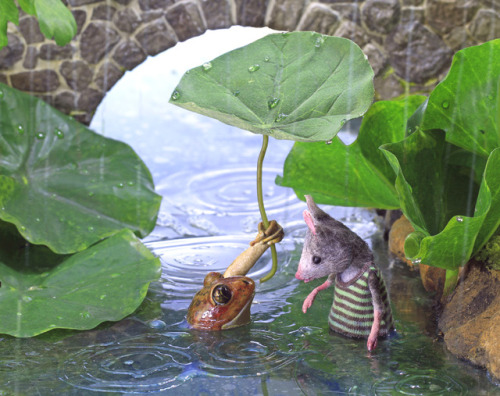 mouseshouses:swimming with frog