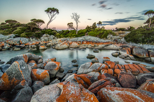 mirroredphotography - Bay of Fire, Tasmania
