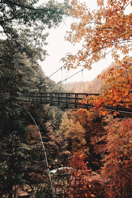 inthemiddleofthemess - abovearth - Tallulah Gorge State Park by...