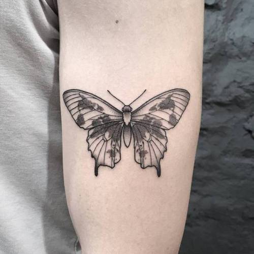 By Michele Volpi · mfox, done at LTW Tattoo Studio, Barcelona.... small;butterfly;animal;tiny;world map;travel;map;ifttt;little;michelevolpi;illustrative;upper arm;insect