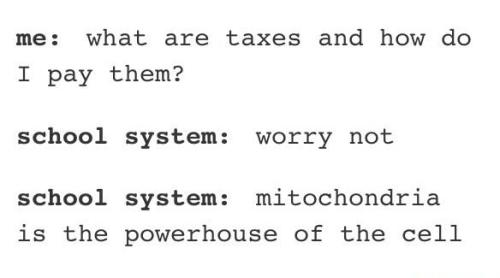 melonmemes - How to pay taxes?