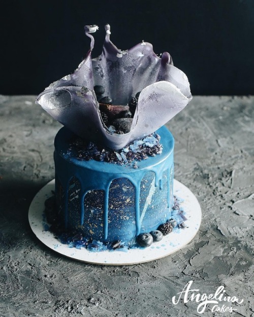 sosuperawesome - Angelina Cakes on Instagram