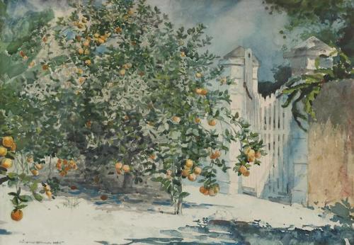 Winslow Homer (1836 - 1910) Orange Trees And Gate 1885 (35,6 by...