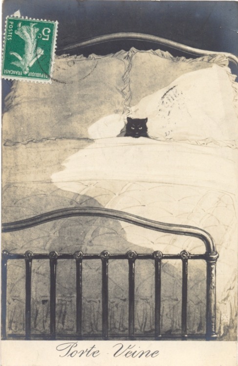 redlipstickresurrected - Unknown Artist - Cat In Big Bed,...