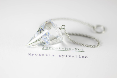 mossofthewoodsjewelry - Forget-Me-Not (Myosotis sylvatica) -...