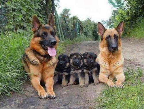 A rare accomplishment, a family photo! (Source:...