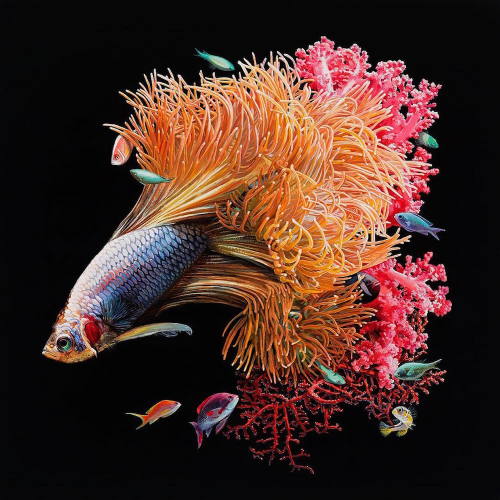 culturenlifestyle - Hyper Realistic Paintings of Exotic Fishes...