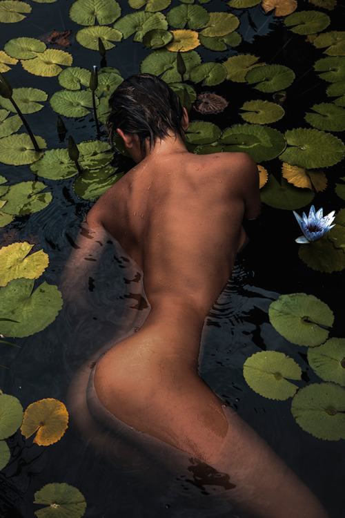 marisapapen:Lady of the Pond